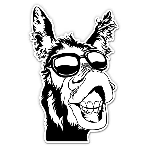 Donkeyです。 Donkey Slam - 3103 (Fisherman) - YouTube